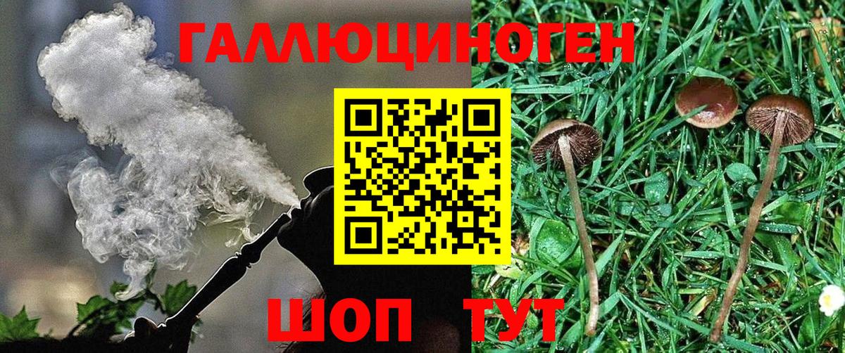 Псилоцибиновые грибы MAGIC MUSHROOMS  Вход с VPN  Минусинск 